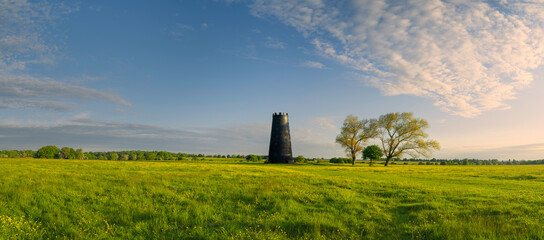 Wall Mural - English rural scene with open pasture and wild flowers with disused mill on horizon. Beverley, UK.