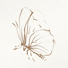 Butterfly Doodle Illustration Vector, Remixed From Vintage Public Domain Images