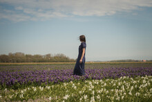 Classic Portrait Of Woman In Long Blue Dress Standing In  Dutch Field Of Puprle Hyacinth Flowers In Spring