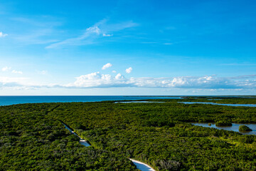 aerial view of mangrove, sea and sky in cozumel island
