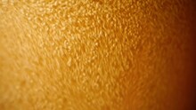 Macro Video Of Beer Being Poured Into A Glass With Foam And Bubbles. An Alcoholic Drink With A Lot Of Texture, Bubbles, Foam And Vibrant Amber Color.