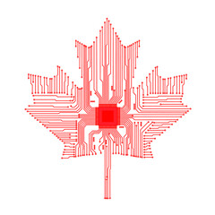 Wall Mural - Maple leaf vector shape icon. Forest and wood symbol sign. Nature tree logo. Maple leaf of canada