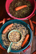 professional  muesli and granules for  horses  served in  buckets with carrots. close up . feeding and horse care concept.