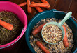 professional  muesli and granules for  horses  served in  buckets with carrots. close up . feeding and horse care concept.