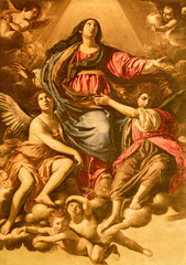 Wall Mural - FORLÍ, ITALY - NOVEMBER 10, 2021: The painting of Assumption in the church Basilica di San Mercuriale by  Rutilio Manetti (1632).