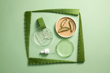 Aloe vera extract research in laboratory with a petri dish dropper in light green background for aloe vera research advertising , photography science content , top view