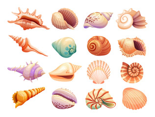 Wall Mural - Various collections of seashells illustration isolated on a white background