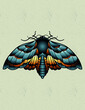 © cat poe - moth neo traditional tattoo