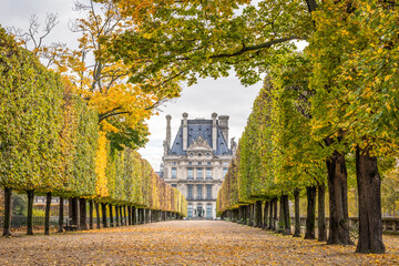 Wall Mural - louvre museum and jardin des tuileries (tuileries garden) in autumn season, paris, france