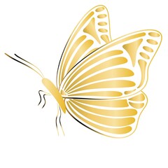 Wall Mural - Gold butterfly in profile isolated illustration. Beautiful insect with golden wings, vector. Graceful retro butterfly, decoration.