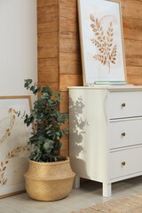 Wall Mural - Chest of drawers, beautiful paintings and potted eucalyptus plant in room