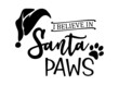 © lisa_L - i believe in santa paws