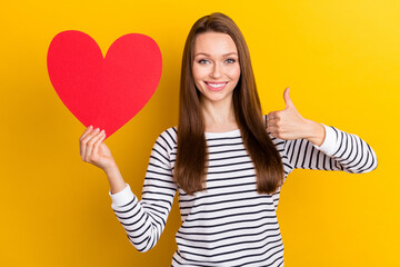 Sticker - Photo of optimistic brunette millennial lady show heart wear white pullover isolated on yellow color background