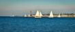 Panorama Segelboote vor Laboe