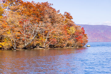 Wall Mural - lake and mountains