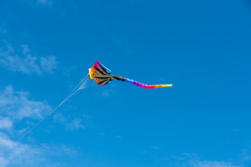Wall Mural - colorful kites flying over the sky