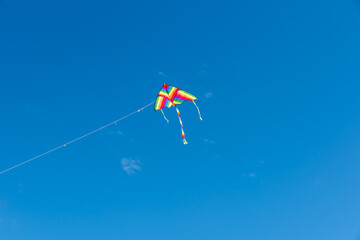 Wall Mural - colorful kites flying over the sky