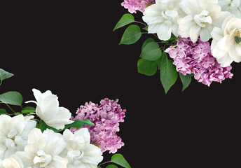 floral banner, header with copy space. white tulips and lilac isolated on dark background. natural f