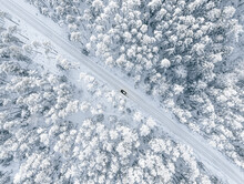 Aerial View Of Winter Forest Covered In Snow. Drone Photography