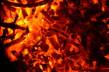 Poster - Combustion of coal anthracite together with small wood.