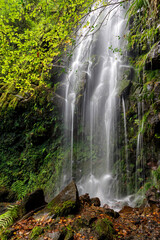 Wall Mural - belaustegui beech forest, gorbea natural park, biscay, basque country, spain