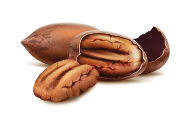 3d realistic vector icon. Pecan nuts in the shell and cracked with nut inside.