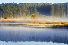 Tranquil Morning Scene At The Lake With Dissipating Fog In The Golden Light  After A Cold Nicht