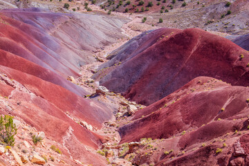 Wall Mural - Amazing violet-red hills. Beautiful view of the Burr trail road, Utah, USA