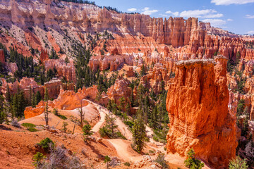 Wall Mural - Beautiful landscape. Green pine-trees on rock slopes. Scenic view of the canyon. Bryce Canyon National Park. Utah. USA