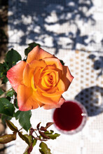 Photograph Of An Orange Flower With A Drink In The Blurred Background In A Sunny Day.