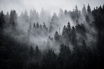 Wall Mural - misty mountain landscape