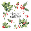 Watercolor Christmas set with isolated winter branches holly and red berries, with lettering 