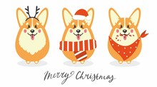 Vector Collection Of Corgi Dogs With Deer Antlers In Santa Claus Hat, Scarf, Shawl