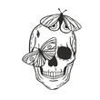Skull and butterflies vector illustration. Vector skull head on white background.