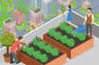 3D Isometric Flat Vector Conceptual Illustration of Urban Rooftop Farming, City Agriculture Gardening