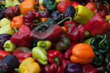Fototapeta Sypialnia - red and yellow peppers