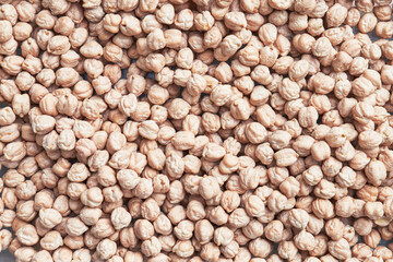 Wall Mural - Natural and raw chickpeas. Fresh legumes close up