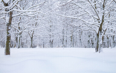 Canvas Print - Nature Winter landscape