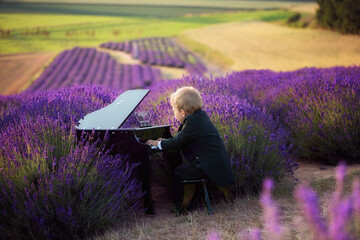 The child sits at the piano standing in a beautiful lavender field