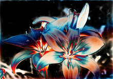 Lilies Abstract Painting