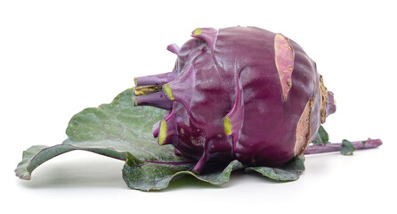 Sticker - One purple kohlrabi cabbage.