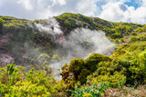 Fototapeta  - Wydobywające się opary siarki, pieszy szlak po polach siarkowych, Furnas De Enxofre, Terceira, Azores, Portugalia