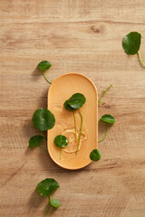 Centella asiatica in wooden chopping board and a brown wooden background for centella asiatica advertising , top view , photography plant content