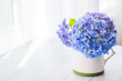 © Daria - bouquet of flowers hydrangea in vase