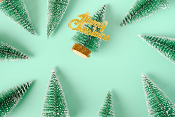 Poster - group of christmas tree lay on pastel green backgorund top view
