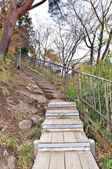 Wall Mural - 【群馬県利根郡】春の水上 諏訪峡遊歩道