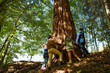 © Halfpoint - Low angle view of diverse group of environmental activists hugging large sequoia tree in forest