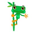 Illustration of a Green Frog on a Branch