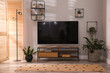 © New Africa - Stylish living room interior with TV on cabinet and houseplants