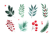 Watercolor Winter Botanical Set. Hand Painted Branches Leaves Red Berries And Foliage. Isolated Elements.